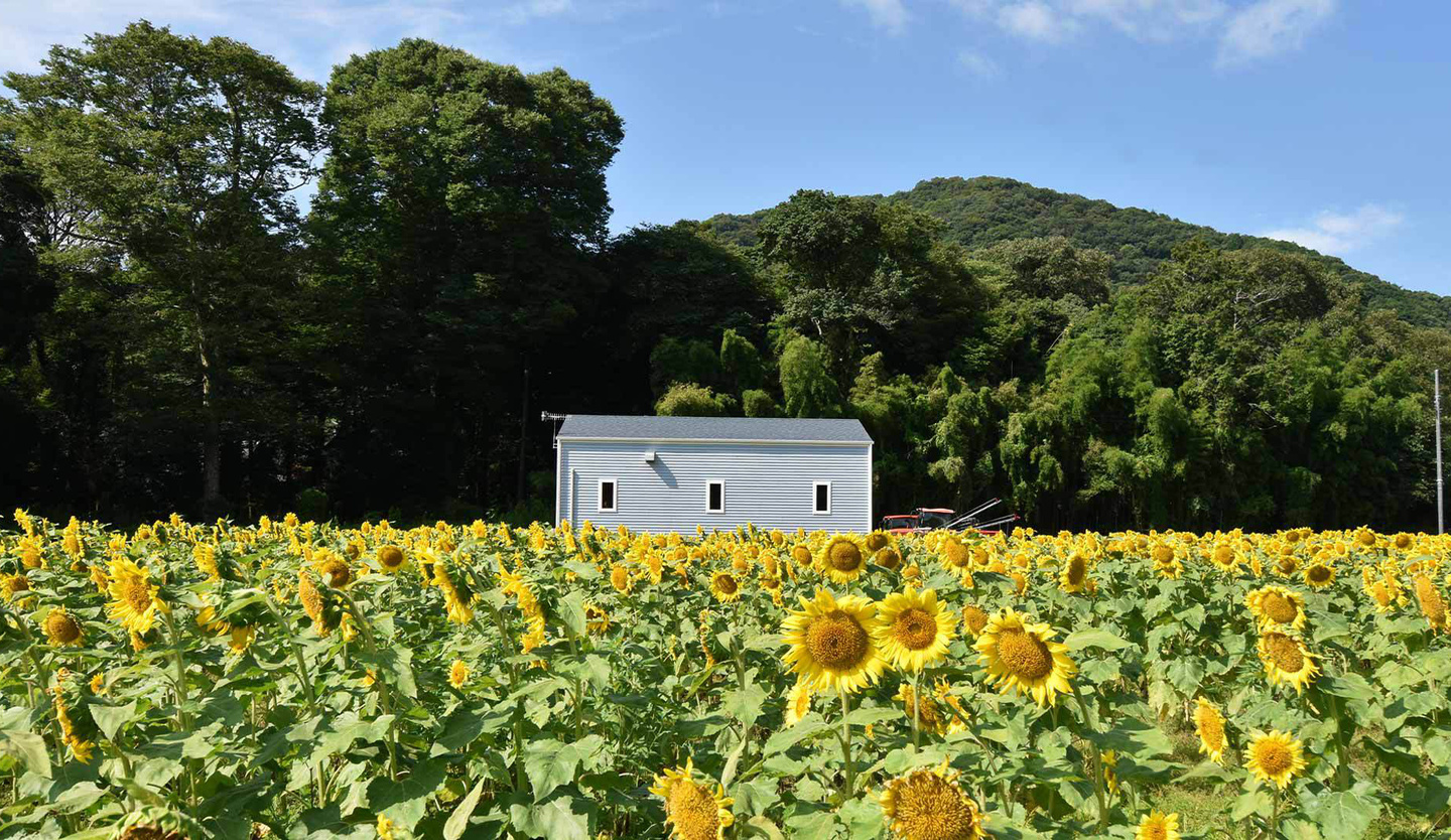 キャビン,物置,小屋,倉庫