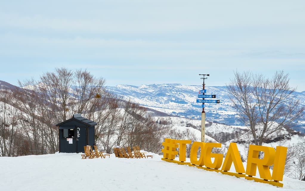 木の質感を生かした木造ガレージG-BB写真